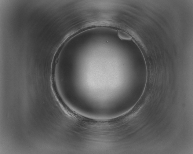 X0000073990845200608211346