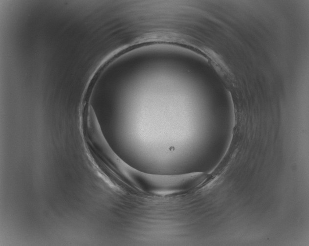 X0000073990846200608211346