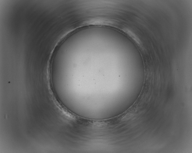 X0000073990848200608211346