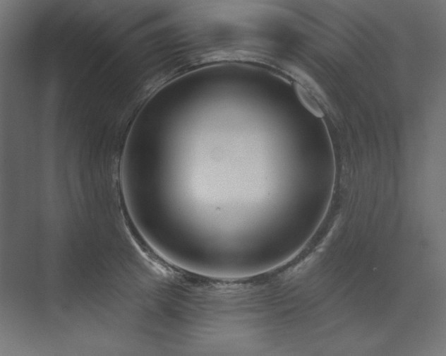 X0000073990849200608211346