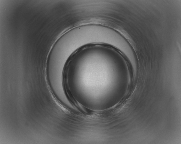 X0000073990850200608211346