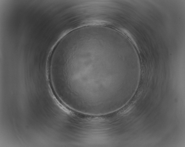 X0000073990851200608211346