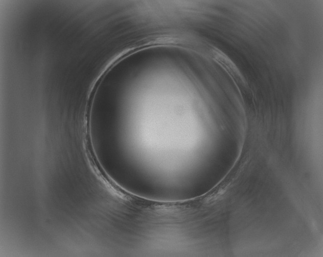 X0000073990852200608211346