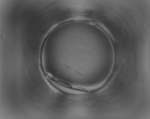 X0000073990853200608211346