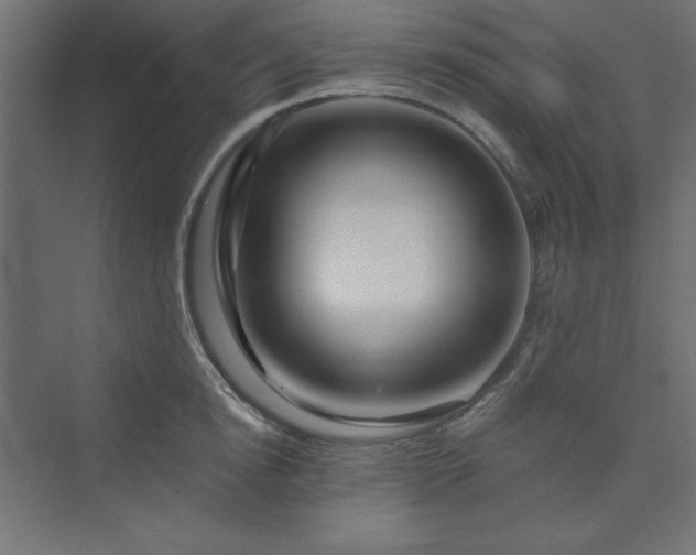 X0000073990854200608211346