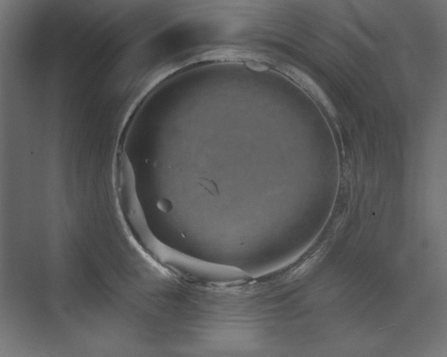 X0000073990855200608211346