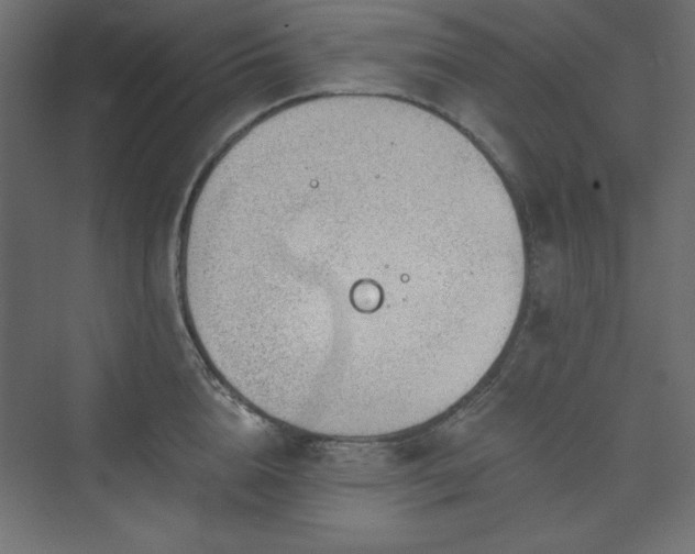 X0000073990856200608211346