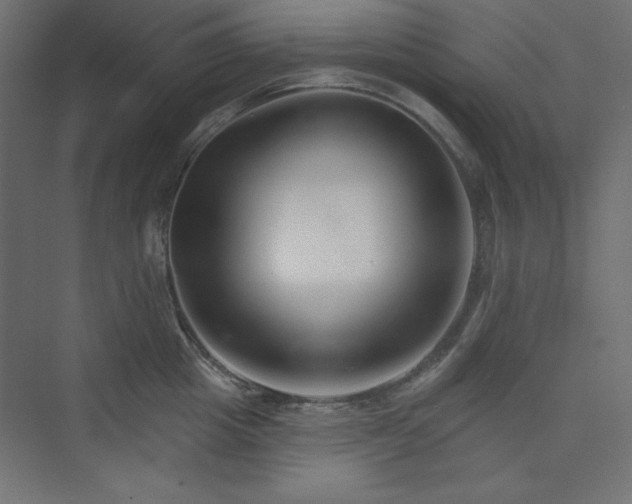 X0000073990857200608211346