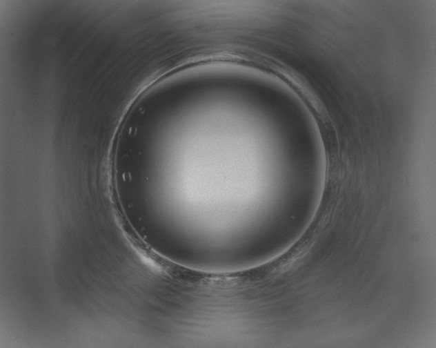 X0000073990858200608211346