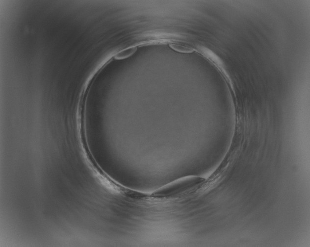 X0000073990859200608211346