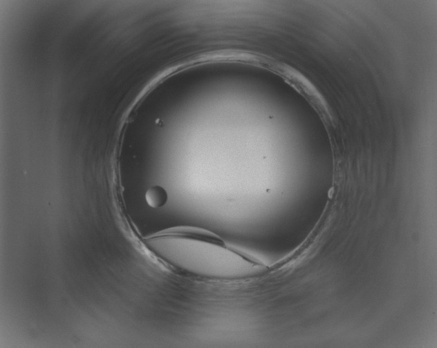 X0000073990860200608211346