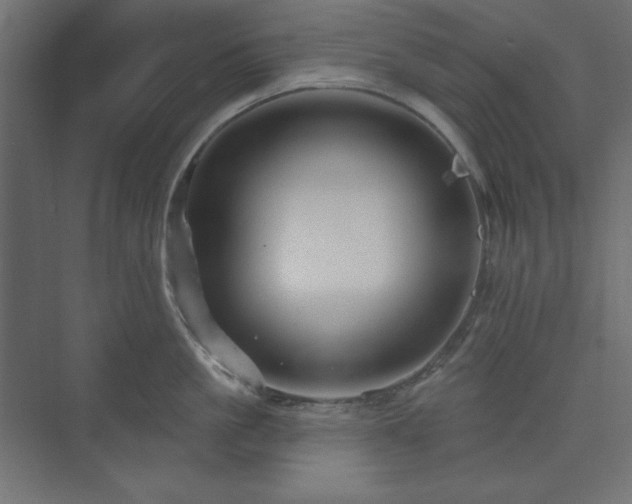 X0000073990861200608211346