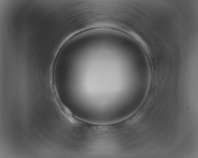 X0000073990862200608211346