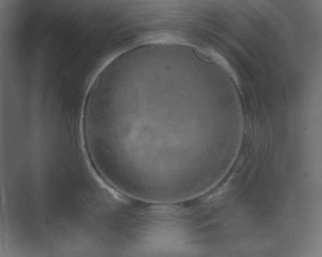 X0000073990863200608211346