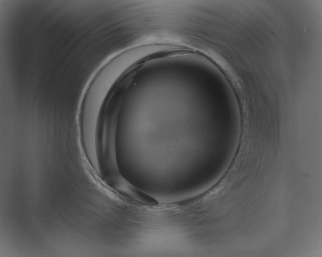 X0000073990864200608211346