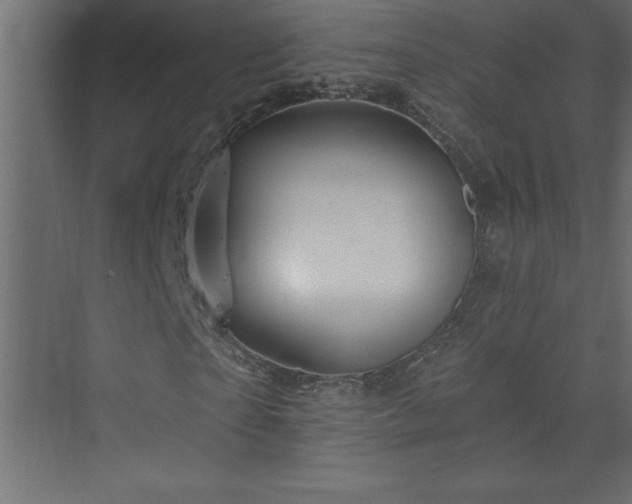 X0000073990865200608211345