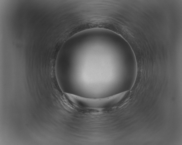 X0000073990868200608211345