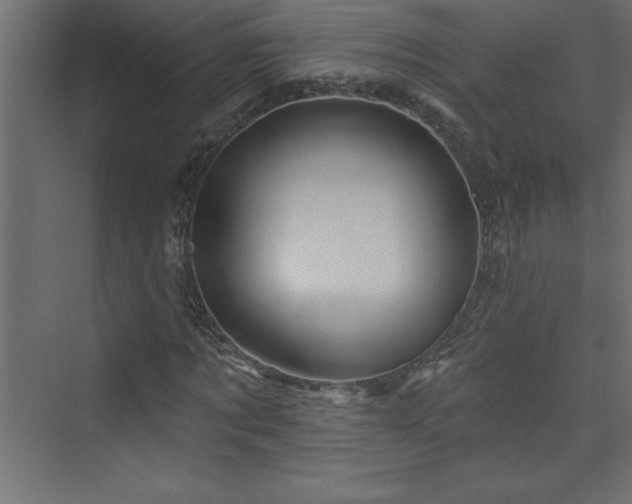 X0000073990869200608211345