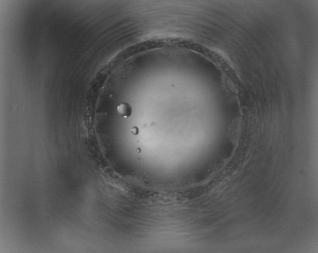 X0000073990871200608211345