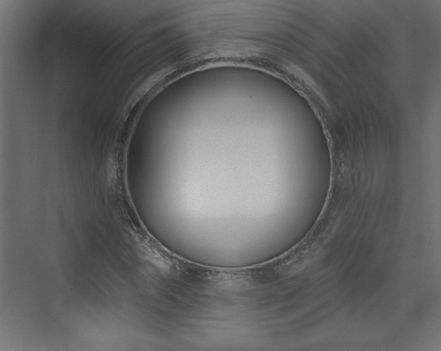 X0000073990874200608211345