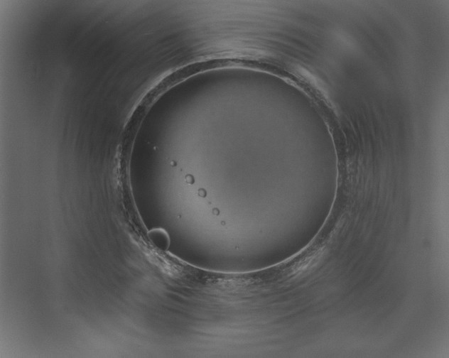 X0000073990875200608211345