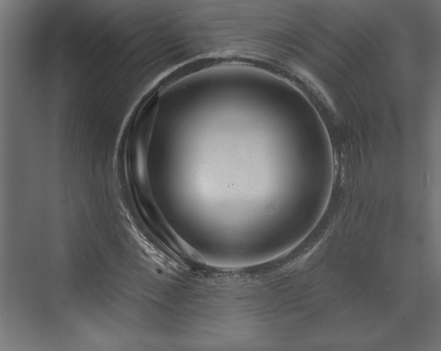 X0000073990876200608211345