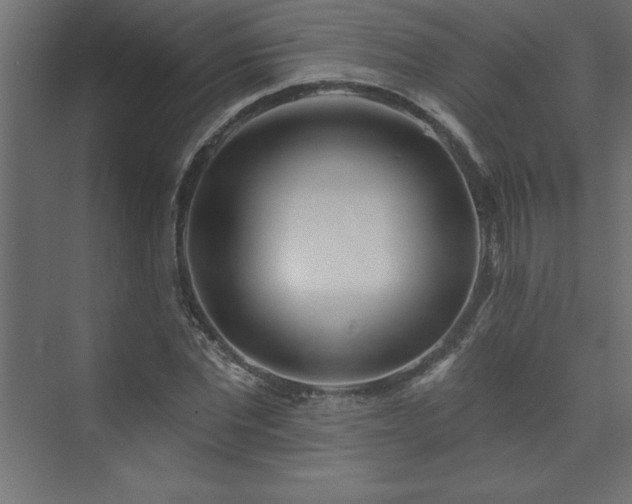 X0000073990877200608211345