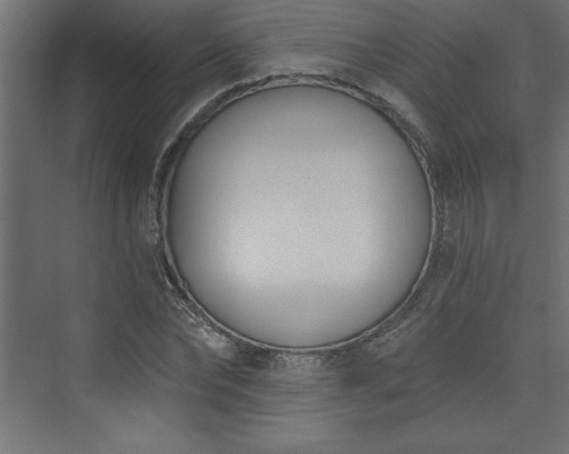 X0000073990878200608211345