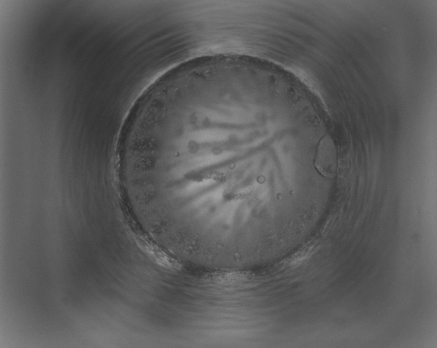 X0000073990879200608211345