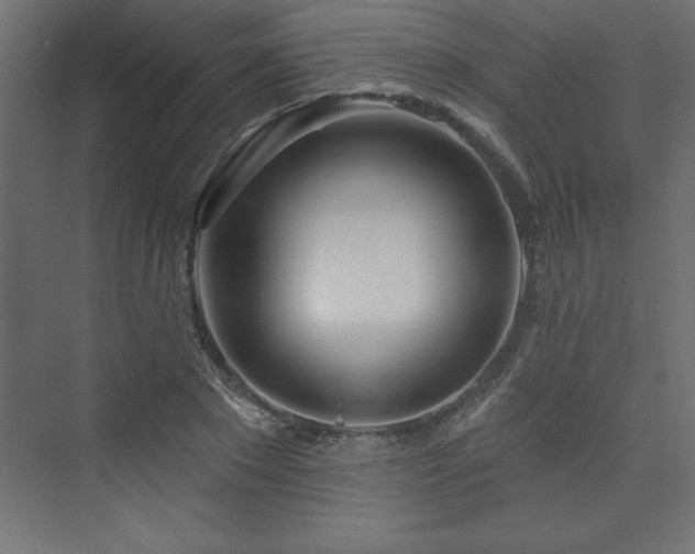 X0000073990881200608211345