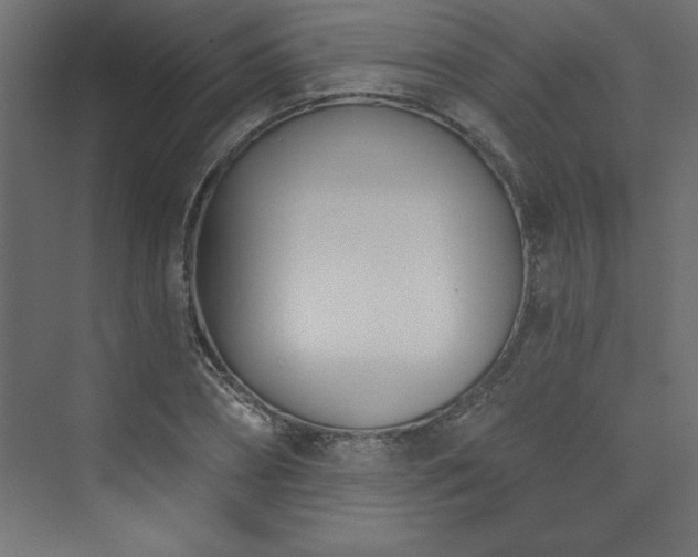 X0000073990882200608211345