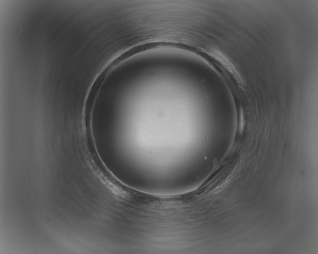 X0000073990884200608211345