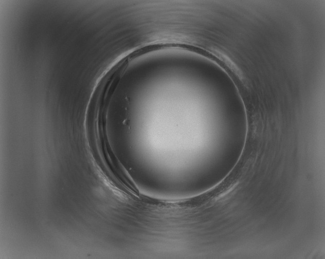 X0000073990885200608211345