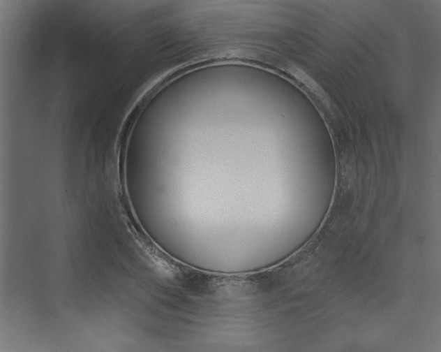 X0000073990886200608211345