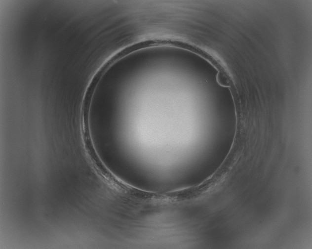 X0000073990887200608211345