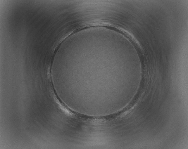 X0000073990889200608211345