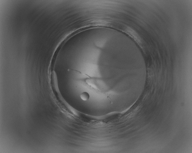 X0000073990891200608211345