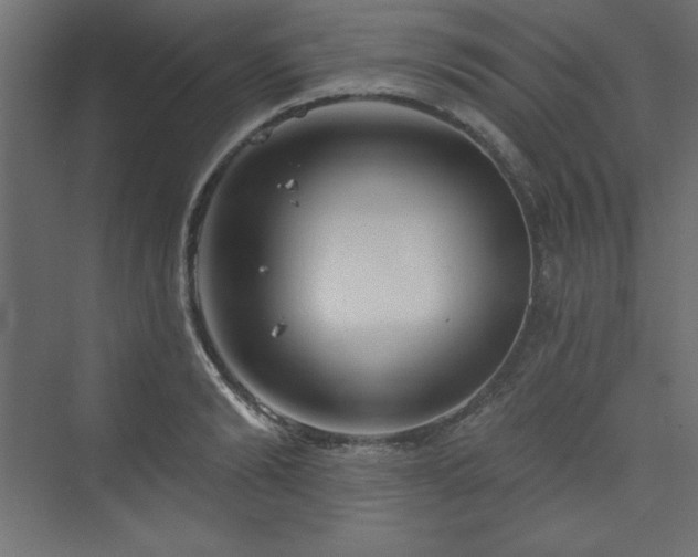 X0000073990894200608211345