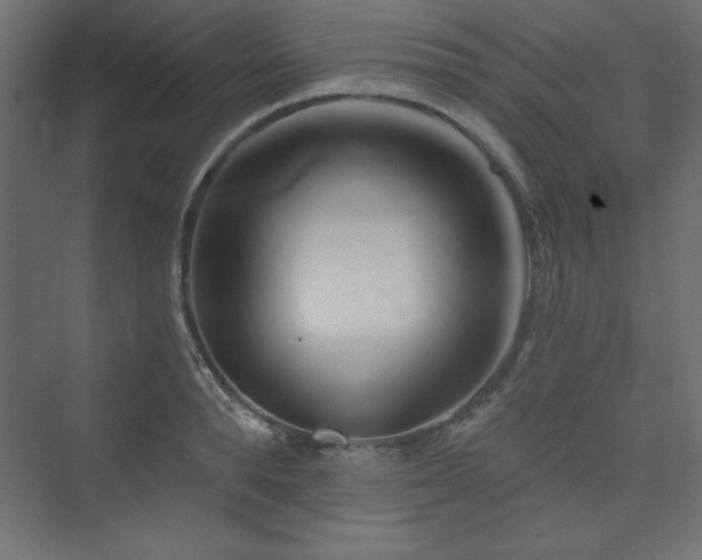 X0000073990896200608211345