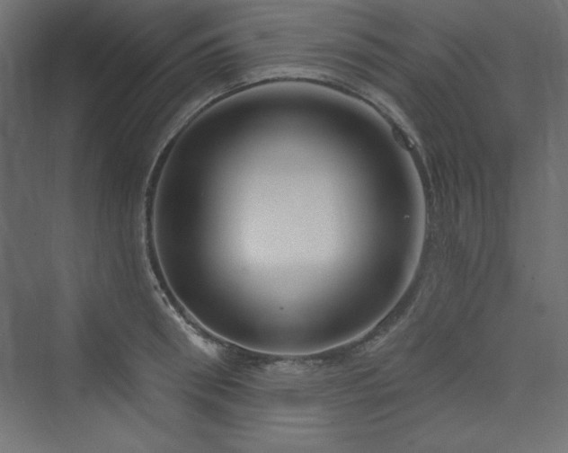 X0000073990898200608211345