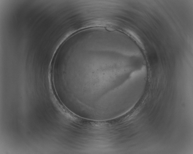 X0000073990899200608211345