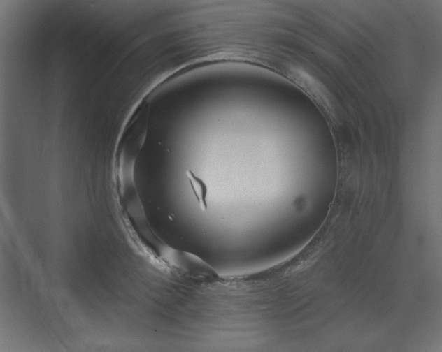 X0000073990900200608211345