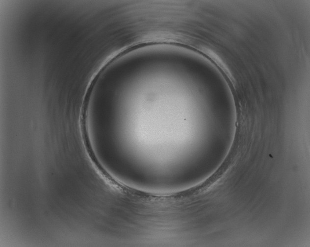 X0000073990901200608211345