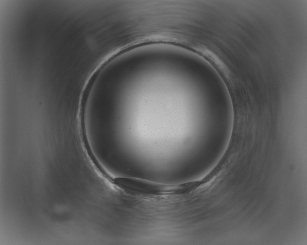 X0000073990902200608211345