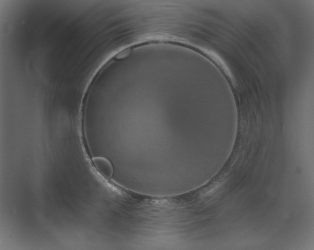 X0000073990903200608211345