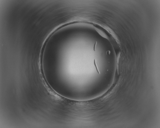 X0000073990904200608211345