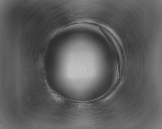 X0000073990905200608211345