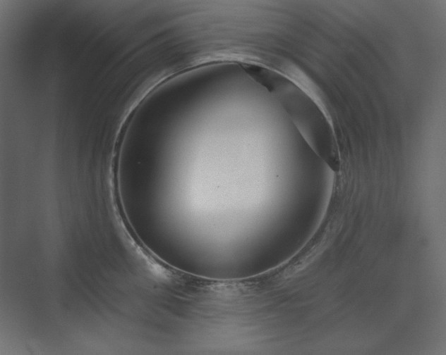 X0000073990906200608211345