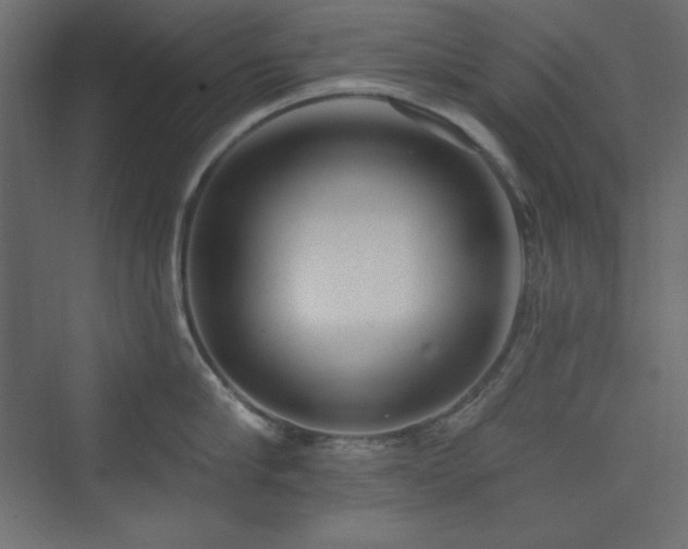 X0000073990910200608211345