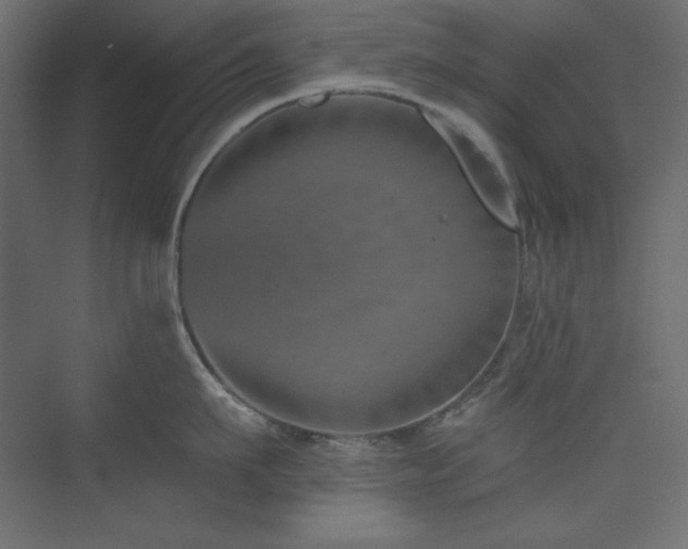 X0000073990911200608211345